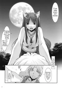 (COMIC1☆2) [Digital Lover (Nakajima Yuka)] D.L. action 43 (Spice and Wolf) [English] [Reromanga]