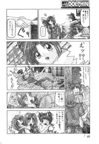 Men's Dolphin 2000-11 Vol. 15