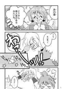 [Ginmomodou (Mita Satomi)] SLAYERS ADULT 10 (Slayers) [Digital]