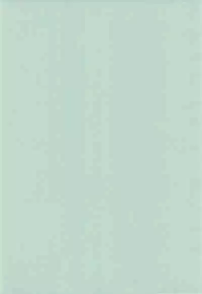 (C61) [Tenny Le Tai (R-Koga, EFINK)] Neko Maid A GO GO!