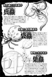 [Bow Rei] Himitsu no Hanazono [English]