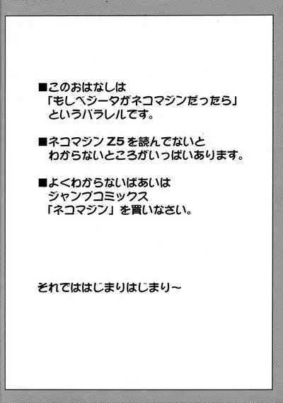 [Power Level 69 & Soul Beast Union (Ossan & Gichi)] Dragonball Fan Book SPECIAL (Dragon Ball Z)