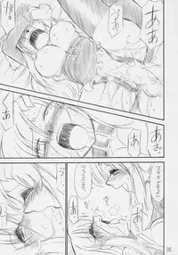 (C70) [EINSATZ GRUPPE (Charlie Nishinaka)] PRISONER 8 Miserable Birds (Gundam SEED DESTINY)