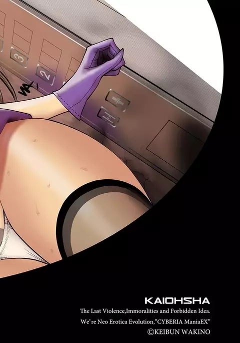 Cyberia Maniacs Chikan Ryoujoku Paradise Vol.2