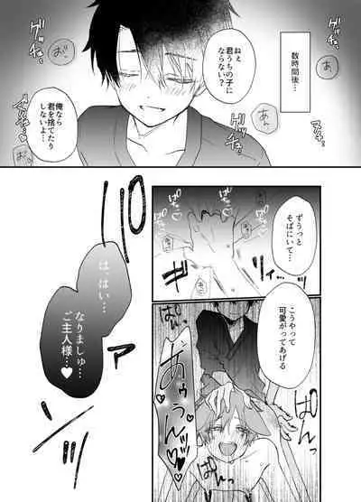 Suterareta Kemonohito ga Hirowarete mesuka Choukyou de Pet ni naru hanashi