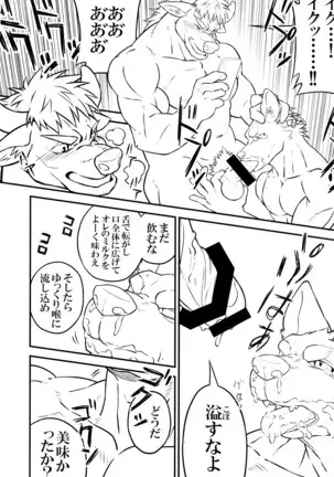 thermite / スキッド・マーク