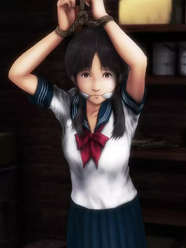 H.S.C. Illustration Collection Ex.4