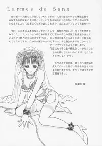 (C45) [D'Erlanger (Yamazaki Show)] Larmes De Sang ~Hametsu Ni Mukkate~