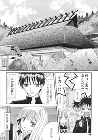 [Kirihara Kotori] IN THE SKIRT