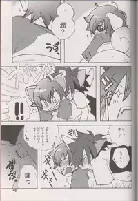 (C70) [Cupsule Asia (Minagata)] Wanko to Nyan-nyan Dekitara Ii na (Onegai My Melody)