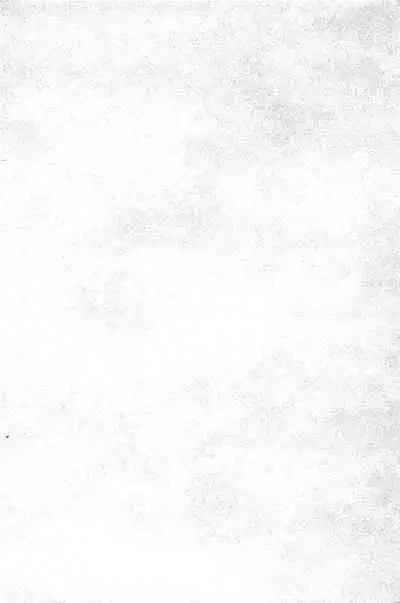 [Hori Hiroaki] Saki ~Kazoku Meikyuu~ [English] [biribiri]