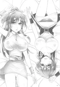 (C82) [Maaboo Udon Teishoku (Negitoroko, Yakisobapantarou)] Lenna x Butz x Faris 2 (Final Fantasy V)