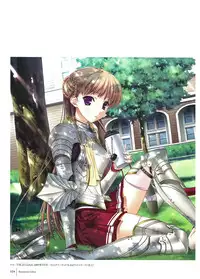 Walkure Romanze Visual Fan Book