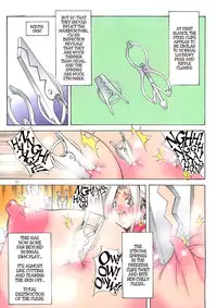 (C78) [Algolagnia (Mikoshiro Honnin)] St. Margareta Black File 3 [English] =LWB=