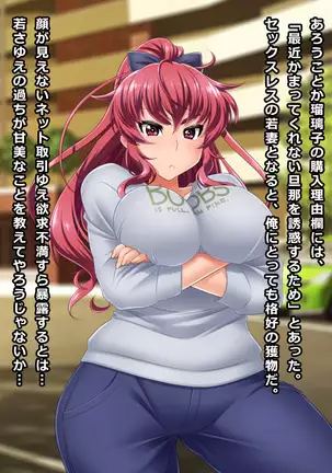 Shitagi no Shichaku Service ni Damasareta Yan-tsuma Ruriko 26-sai