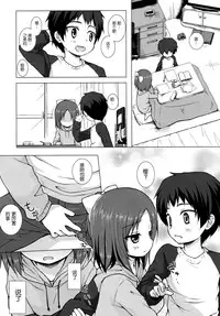 (C87) [Noraneko-no-Tama (Yukino Minato)] Owari no Nikkichou Zetsu [Chinese] [脸肿汉化组]