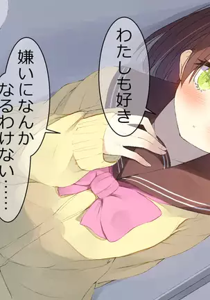 Ore no Kanojo ni wa Nekomimi ga Haeteiru