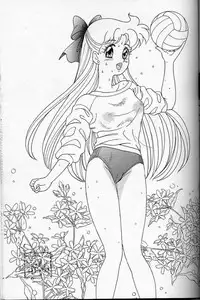 [Chandora, LUNCH BOX (Makunouchi Isami)] Lunch Box 6 - Usagi (Bishoujo Senshi Sailor Moon)