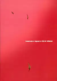 (C91) [Fountain's Square (Hagiya Masakage)] CHAOS PANIC (Bakemonogatari)