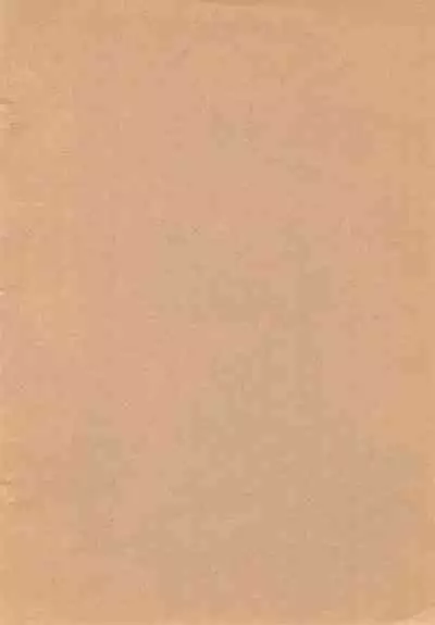 Shin Izumi no Hiroba 2