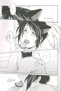 (C77) [4040, Sengoku cartoon (pei, Matsuzono)] Naiyou wa Futsuu janaikara... (Axis Powers Hetalia)