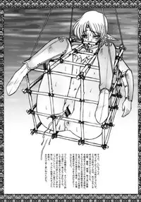 (C68) [GLAMOUR WORKS (Shadi Biin)] Monster Collection (Record of Lodoss War)