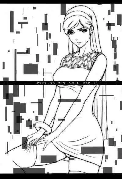 Grudge blue book report number 13