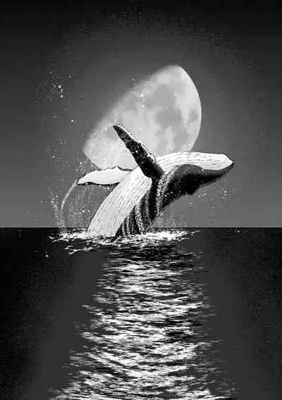 Tsuki to Kujira to Touhikou