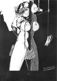 [Studio Vanguard (Twilight)] GIRLS IN THE DARKSIDE 4TH