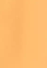 (C87) [Studio Wolt (Wolt)] Kaminari no Chihare (Kantai Collection -KanColle-)