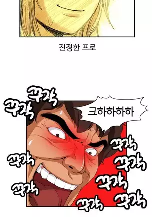 Chauffeur Service Ch.1-30.5