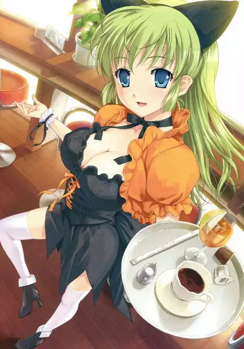 Happoubi Jin Gashuu Hoteri