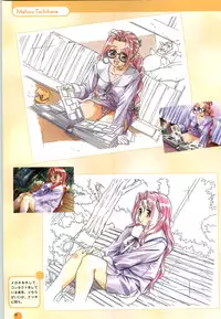 [Yokota Mamoru, Dodai Shouji] Septem Charm Magical Canan Visual Guide - Compass Official Artbook