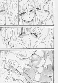 (C70) [EINSATZ GRUPPE (Charlie Nishinaka)] PRISONER 8 Miserable Birds (Gundam SEED DESTINY)