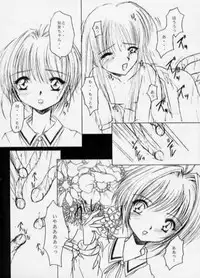 [R-SPIRITS] SPLENDID FLOWER GARDEN (Card Captor Sakura)