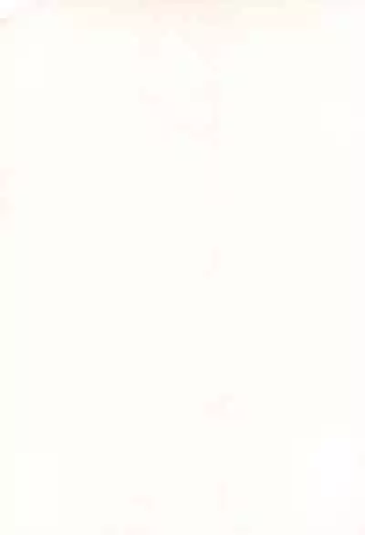 (C90) [BBB-Extra (Chuushin Kuranosuke)] WHITE MABO PANIC! (Fate/kaleid liner Prisma Illya)