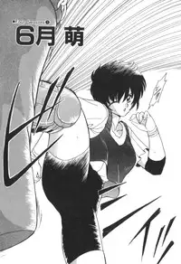 [Akifuji Satoshi] Four Seasons