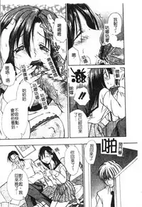 [Hashi Cube] Milky Crybaby [Chinese]