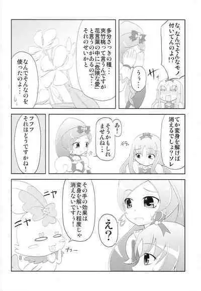 (C79) [Yumeoikyounouta (Tukusi Hirokazu)] BloMari Party NOW!! (HeartCatch PreCure!)