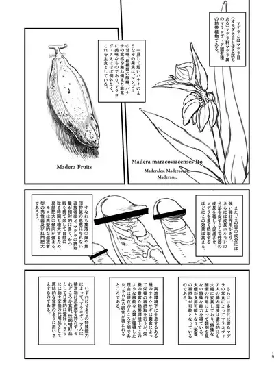 [Kakumei Seifu Kouhoushitsu (Radiohead)] Junbi-gou 2 `dankon no esunogurafi marakovu~ia no sei to haisetsu' junbi-gou (Various) [Digital]