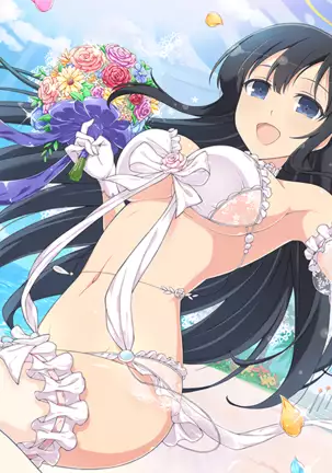 Master Ninja Senran Kagura NEW LINK