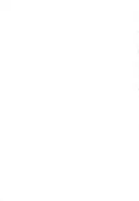 (C85) [Nyaa Nyaa Koushinjo (Kaibara Keiya)] HARVEST_2_2 (Mahou Shoujo Lyrical Nanoha) [Chinese] [脸肿汉化组]