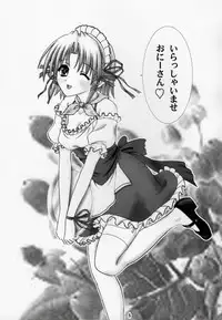 (C74) [Chandora, Lunch BOX (Makunouchi Isami, Aimirucha)] Lunch Box 95 - Kya Kya Kyaa (Shuffle!)