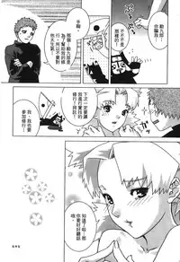 [Kishimoto Saisi] naruto ninja biography vol.05 (naruto) [chinese]