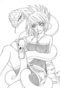 [Kishimoto Saisi] naruto ninja biography vol.05 (naruto) [chinese]