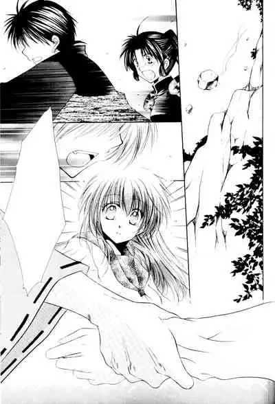 (C70) [Sakurakan (Seriou Sakura)] Ryuusei Ryodan | Falling Star Brigade (Inuyasha) [English] [EHCove + WataTL]