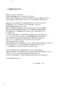 (SC51) [Tokkuriya (Tonbo)] Shiranui Muzan 2 (King of Fighters)