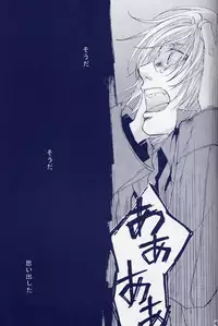 [Devil May Cry] Fragment (VergilxDante)