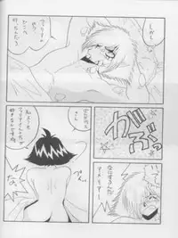 [Ginmomodou (Mita Satomi)] SLAYERS ADULT 3 (Slayers)