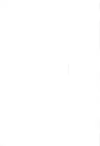 (C95) [Yojigen Kaidenpa (Shiden Hiro)] Ougon no Buta wa Tsuki ni Naku (Fate/Grand Order)